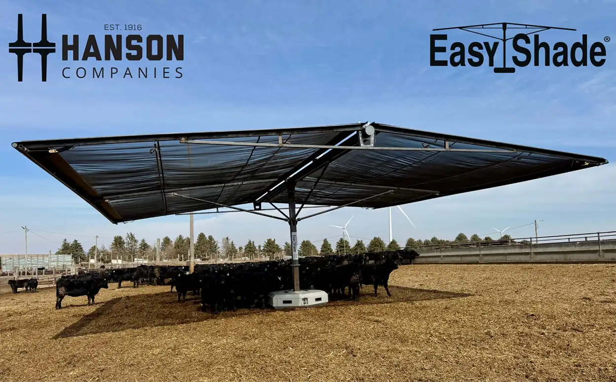 Hanson Easy Shade with cattle standing below it