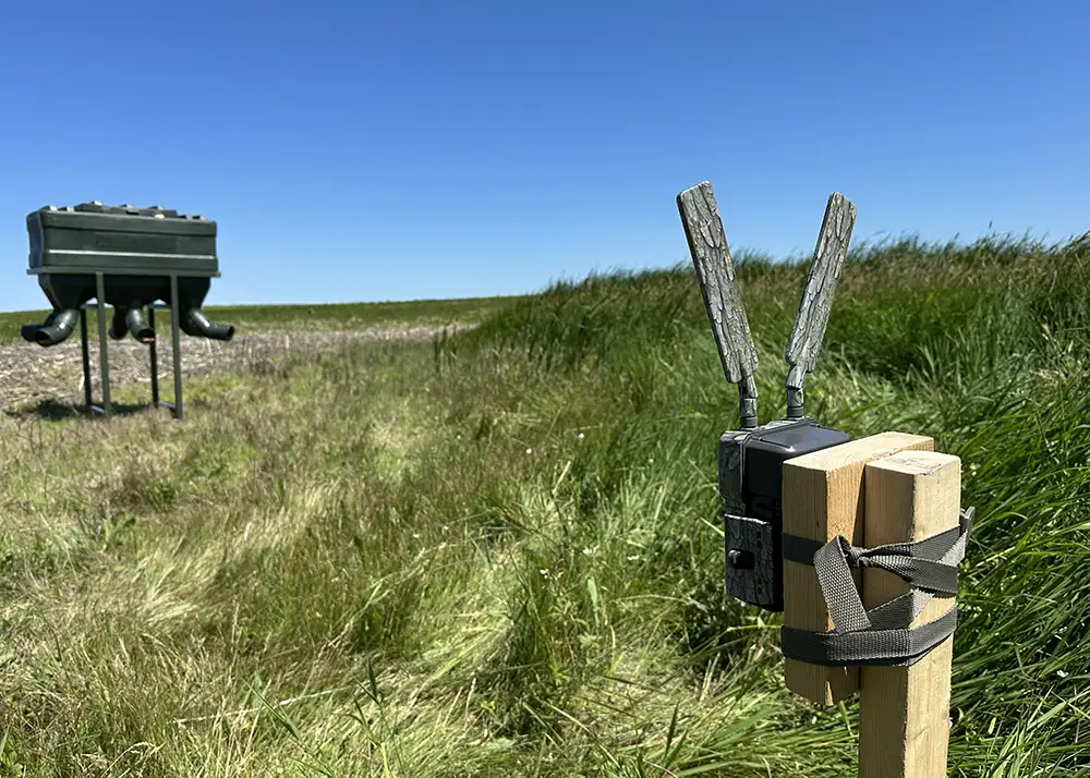 Wise Eye trail camera on a post near deer feeder